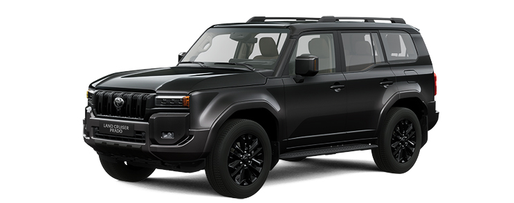 LAND CRUISER PRADO 1